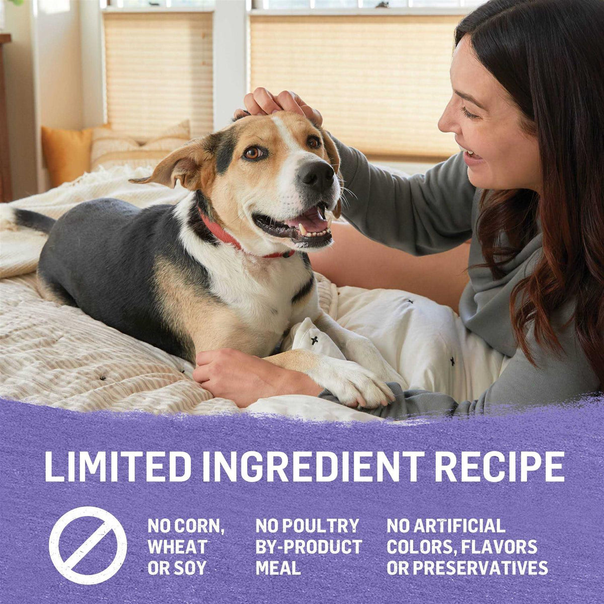 Grain Free Turkey & Sweet Potato Recipe Wet Dog Food G283