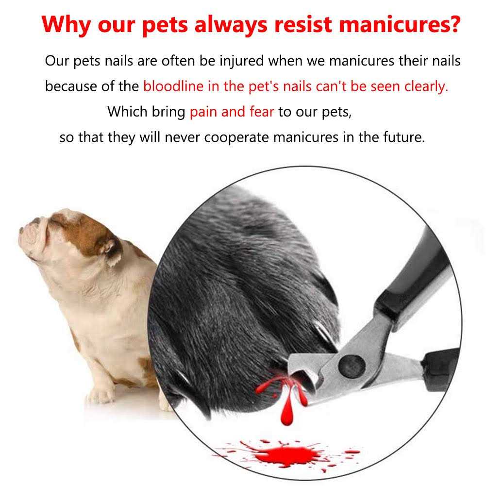 Illuminated Pet Nail Clipper with LED Light J95735