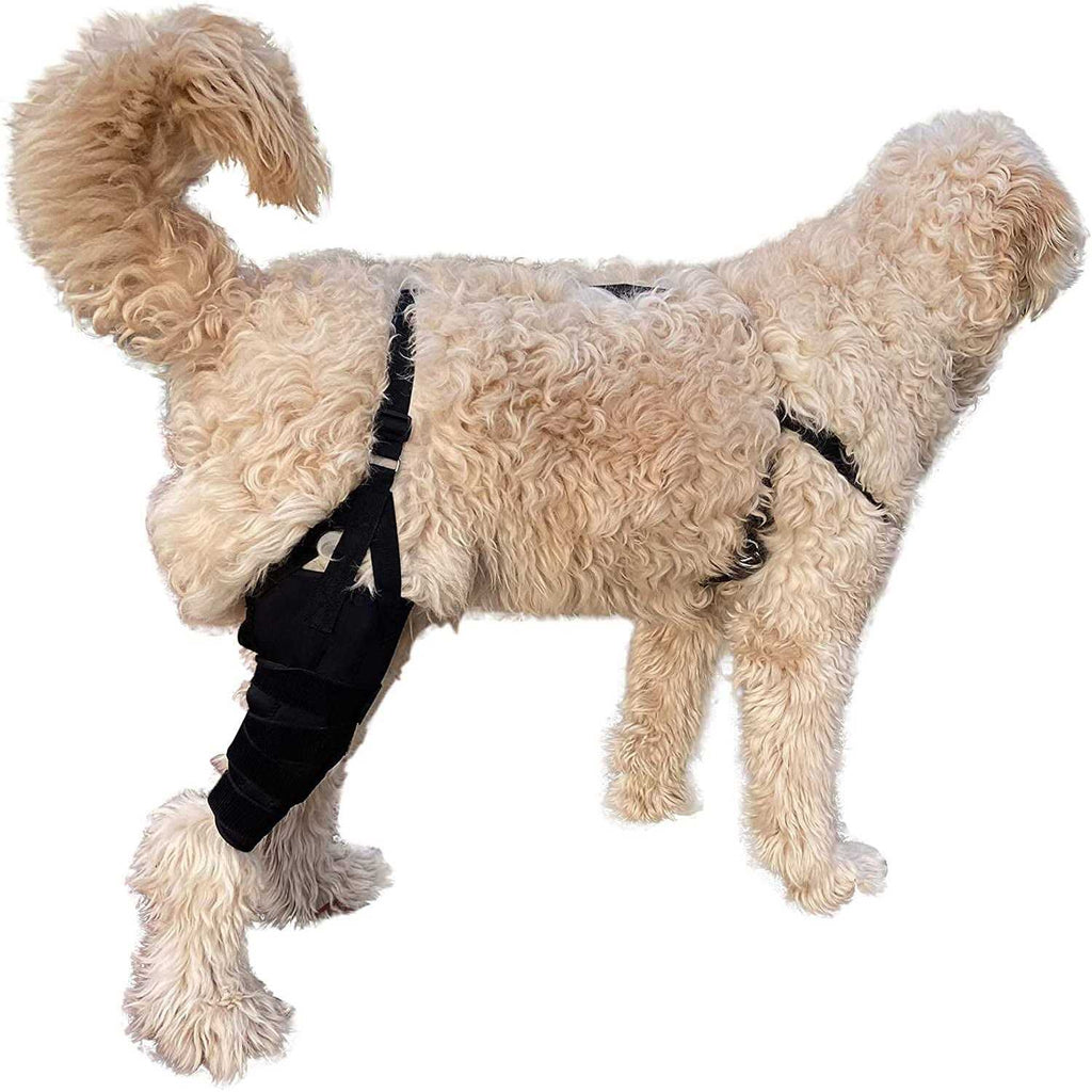 Dog Knee Brace Wrap Metal Hinged Support X536781