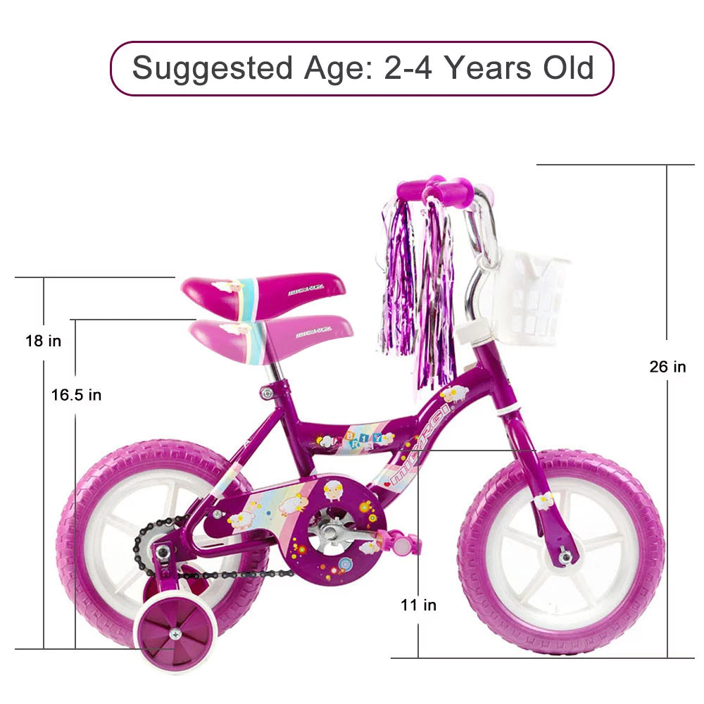 2 Kid's BMX Bicycle with Coaster Brake and Training Wheels I217720