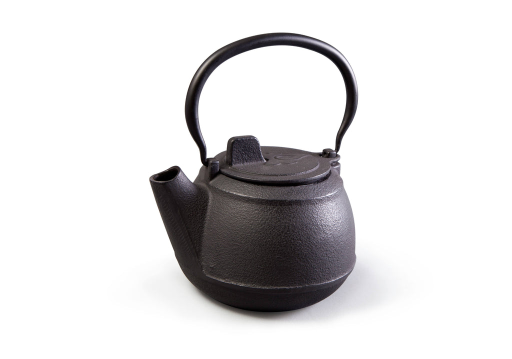 Cast Iron Teapot S314009