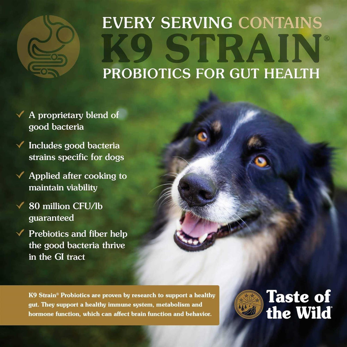 Dog Food K411539