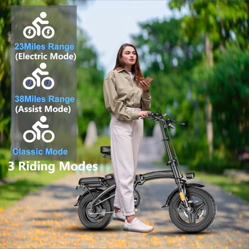 Folding Electric Bike 500W 48V 12AH M770145