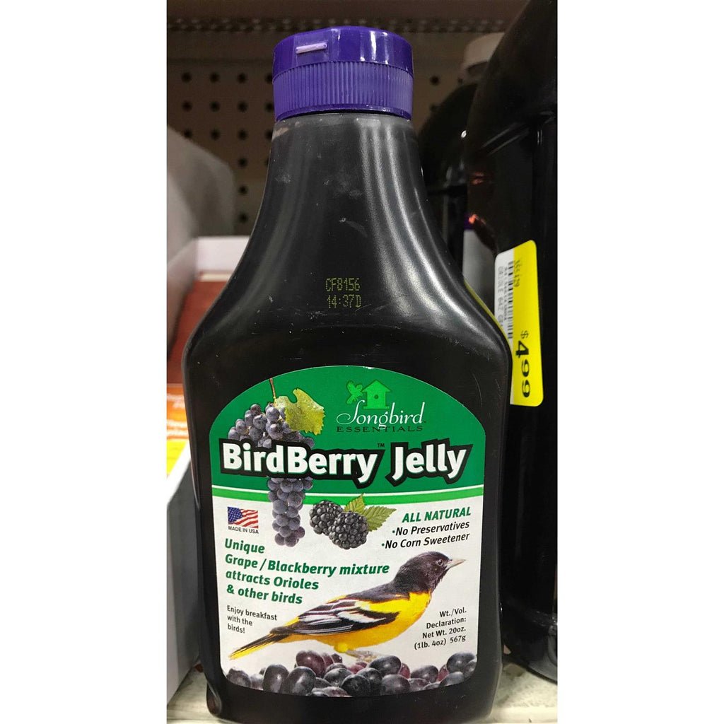 Birdberry Jelly 20 oz A246