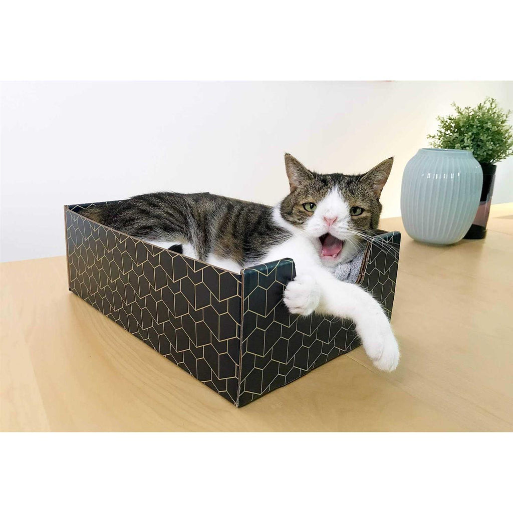 Blue Cat Box X742206