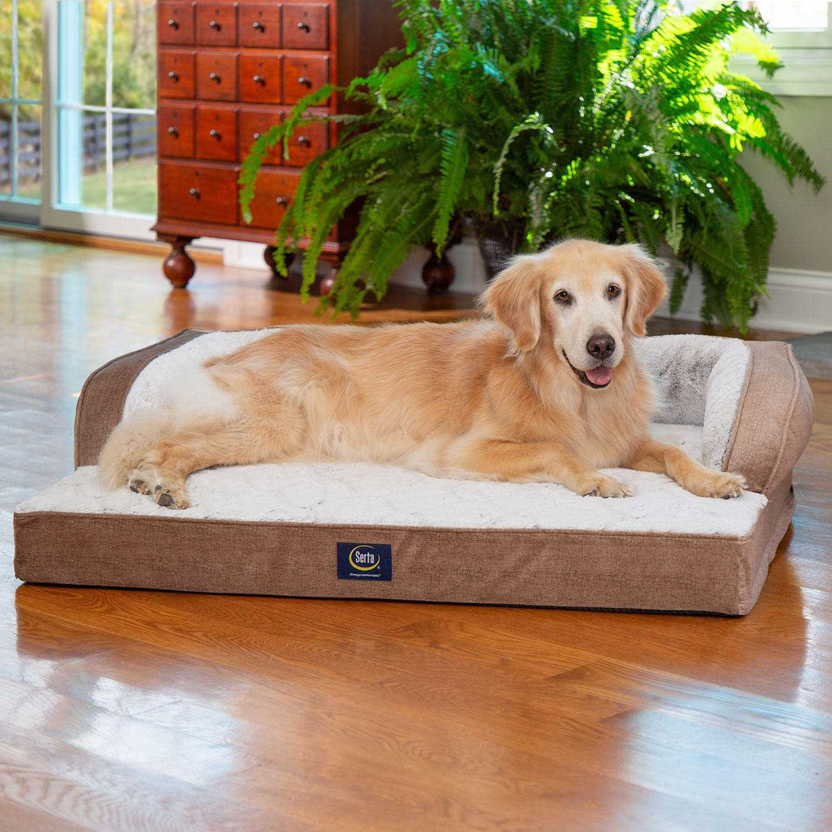 Sleeper Sofa Pet Bed F66001