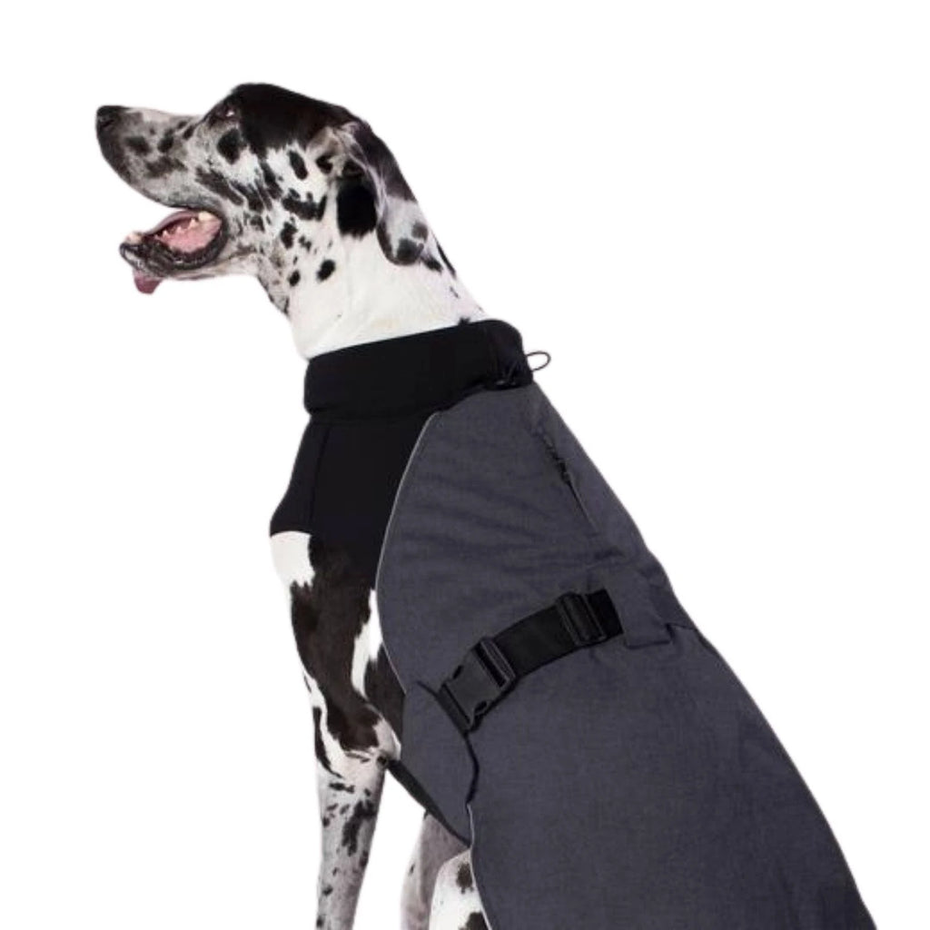 Charcoal Dog Coat W9767