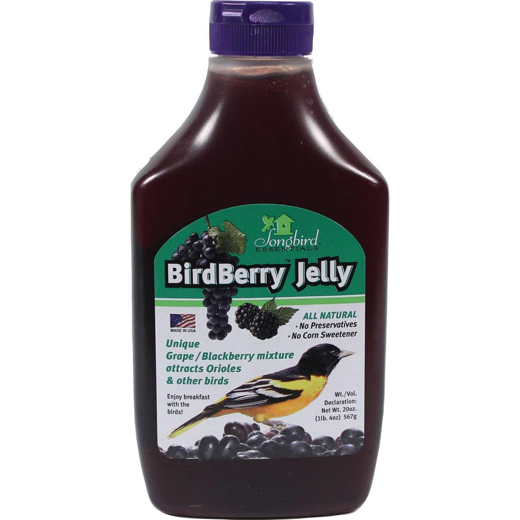 Birdberry Jelly 20 oz A246