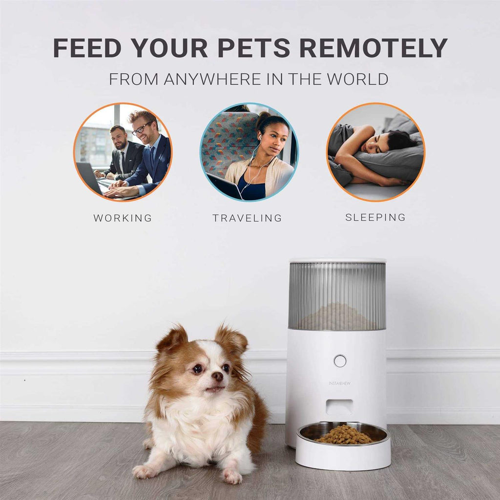 Automatic Pet Feeder X612794