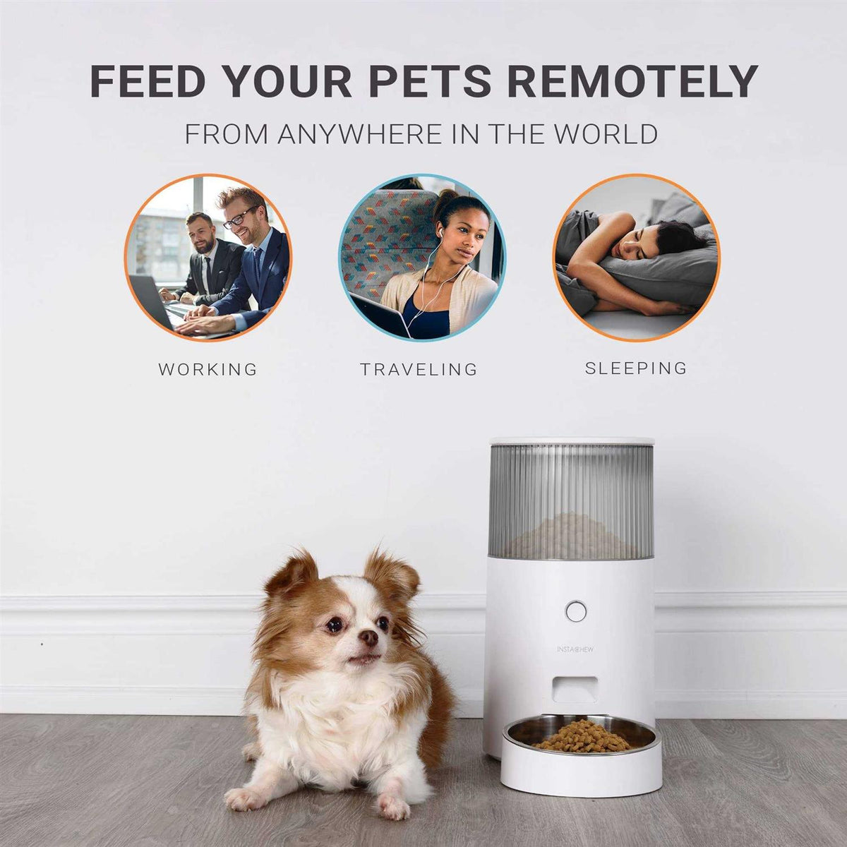Automatic Pet Feeder X612794