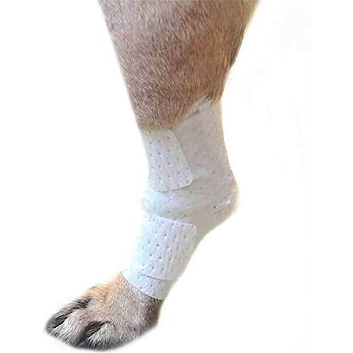 Pets Bandages D637669