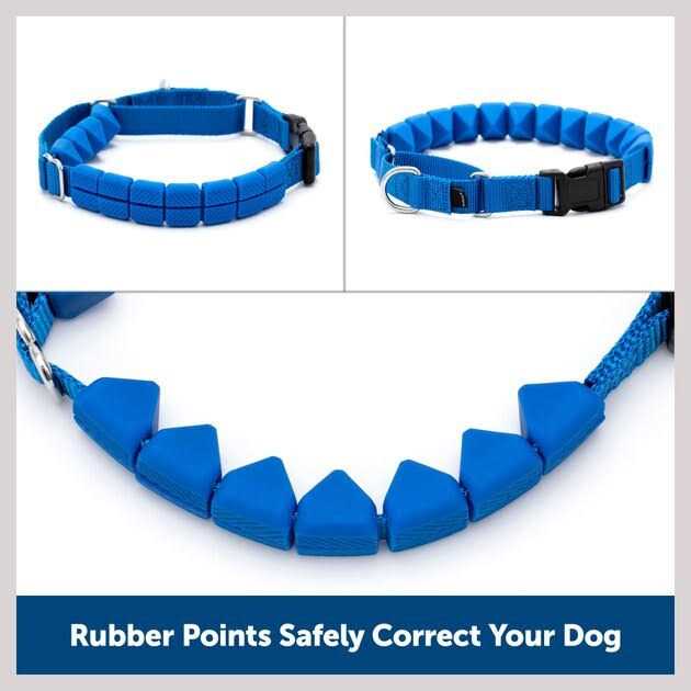 Soft Point Training Collar L1421