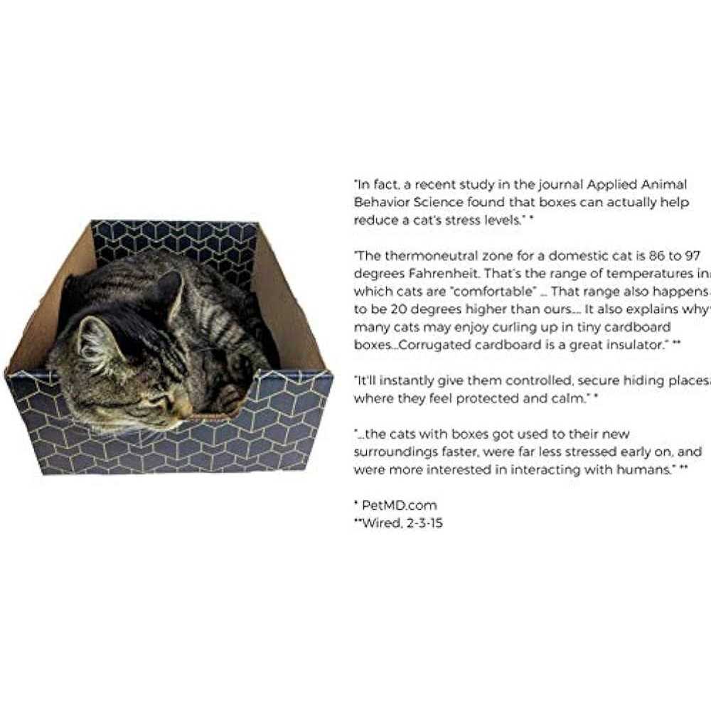 Blue Cat Box X742206