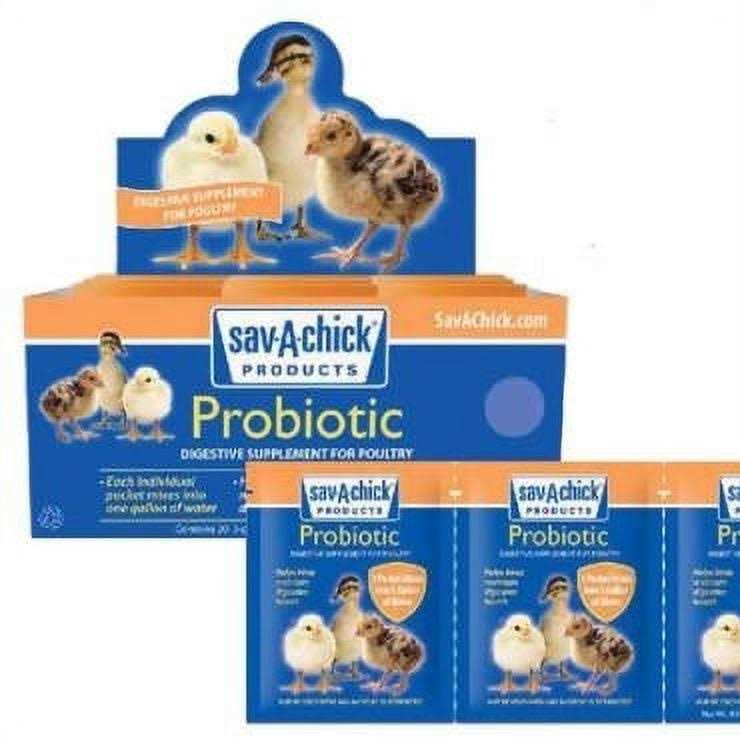 Probiotic Supplement Q9495