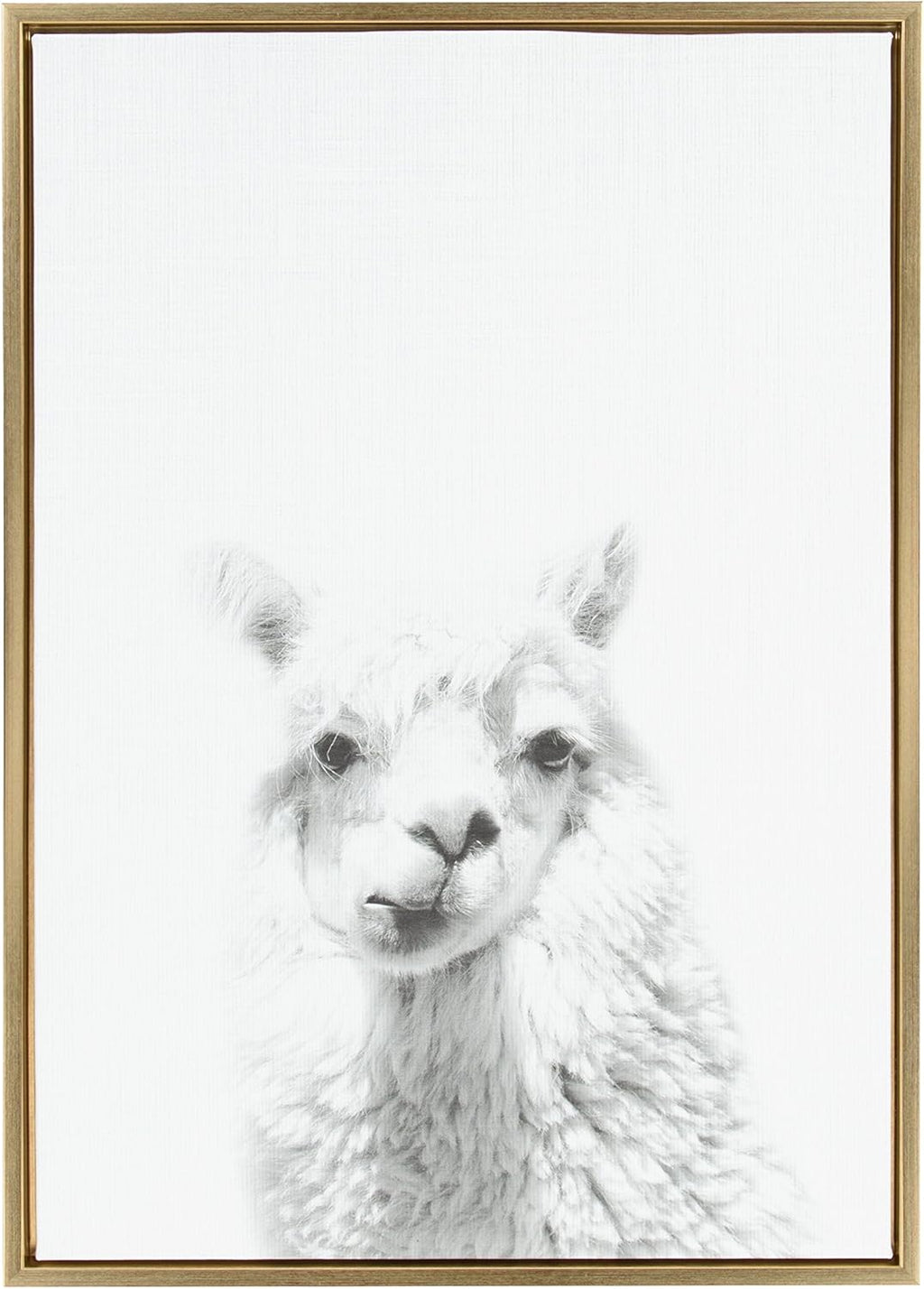 Black and White Framed Canvas Wall Art, 18x24 E28033
