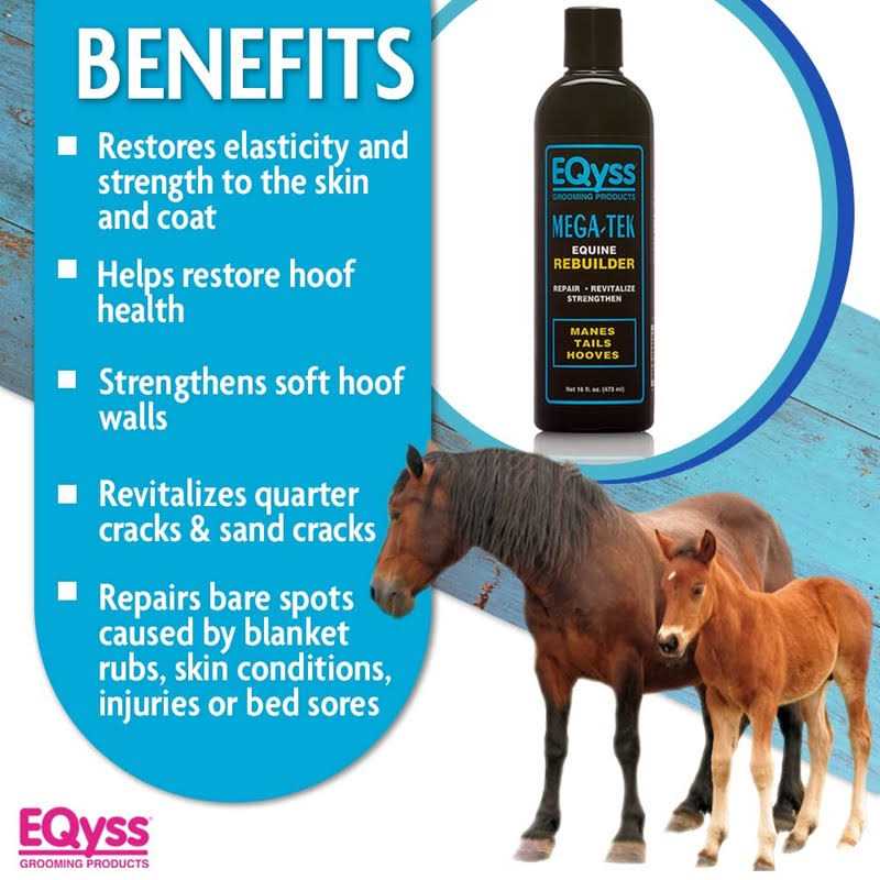 Equine Rebuilder G293