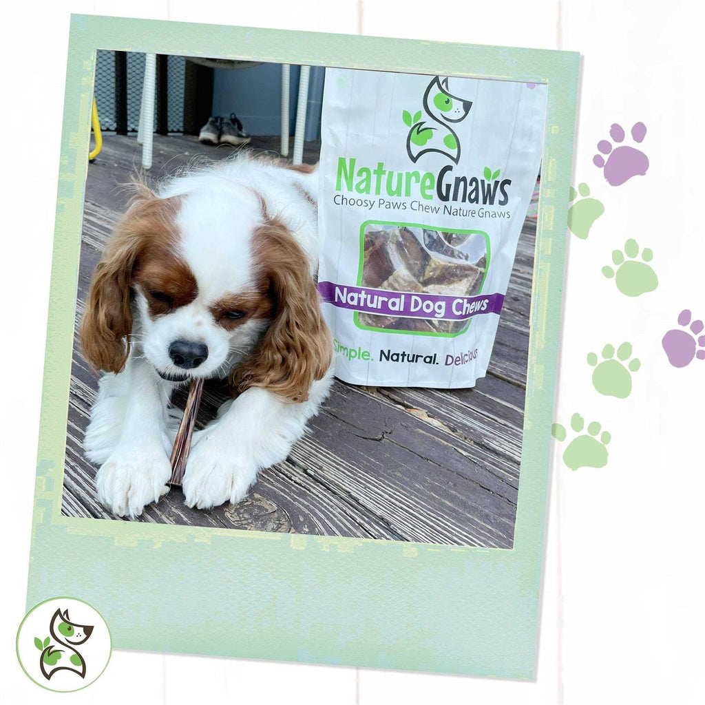 Natural Beef Bully Sticks for Dogs E7615