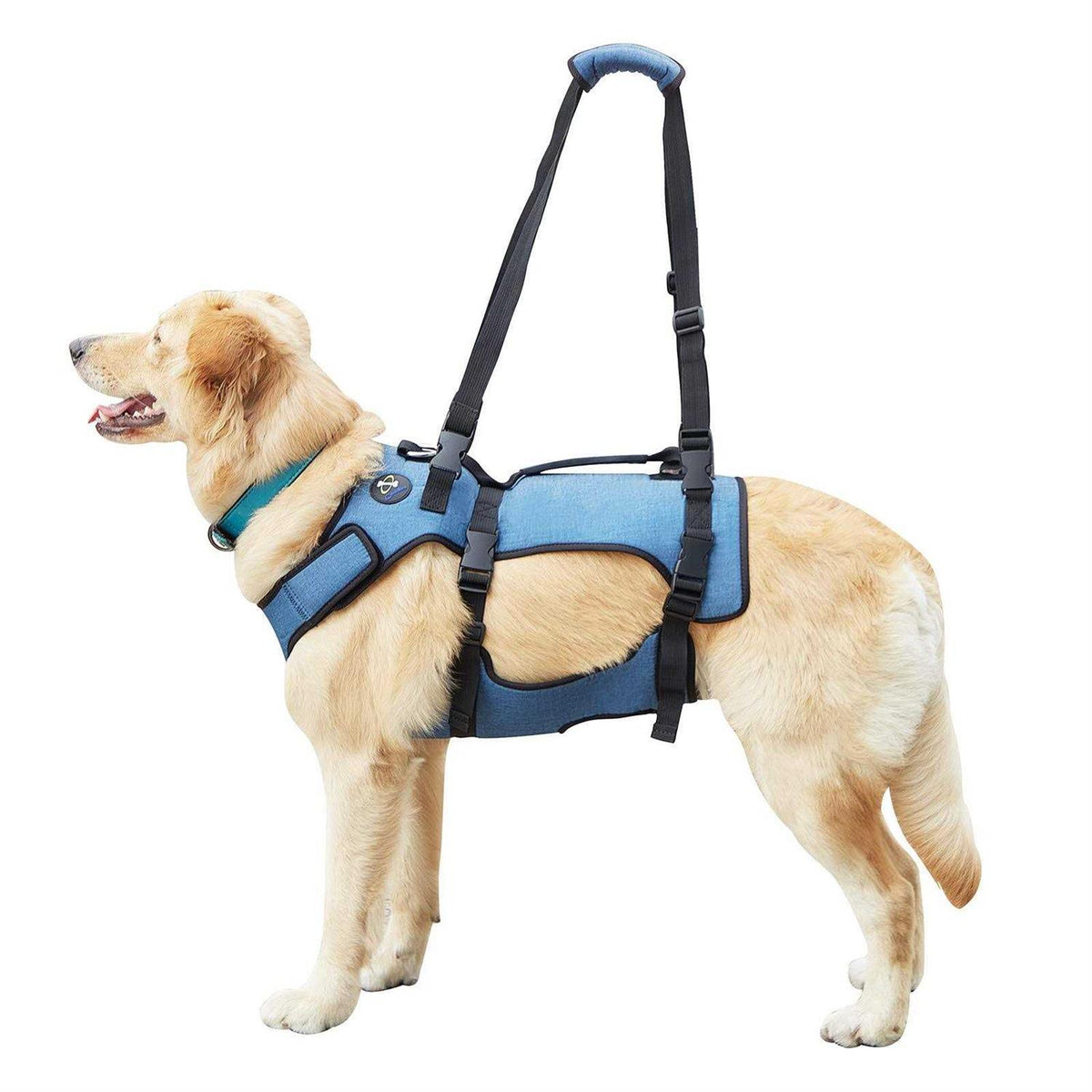 Adjustable Breathable Dog Lift Harness J56336