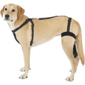 Dog Knee Brace Wrap Metal Hinged Support X536781