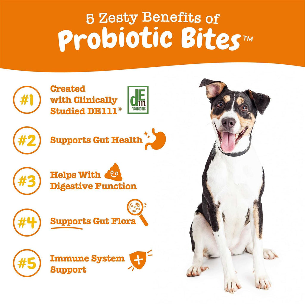 Probiotic Bites Digestive Supplement for Dogs Chicken 90 Soft Chews Z114