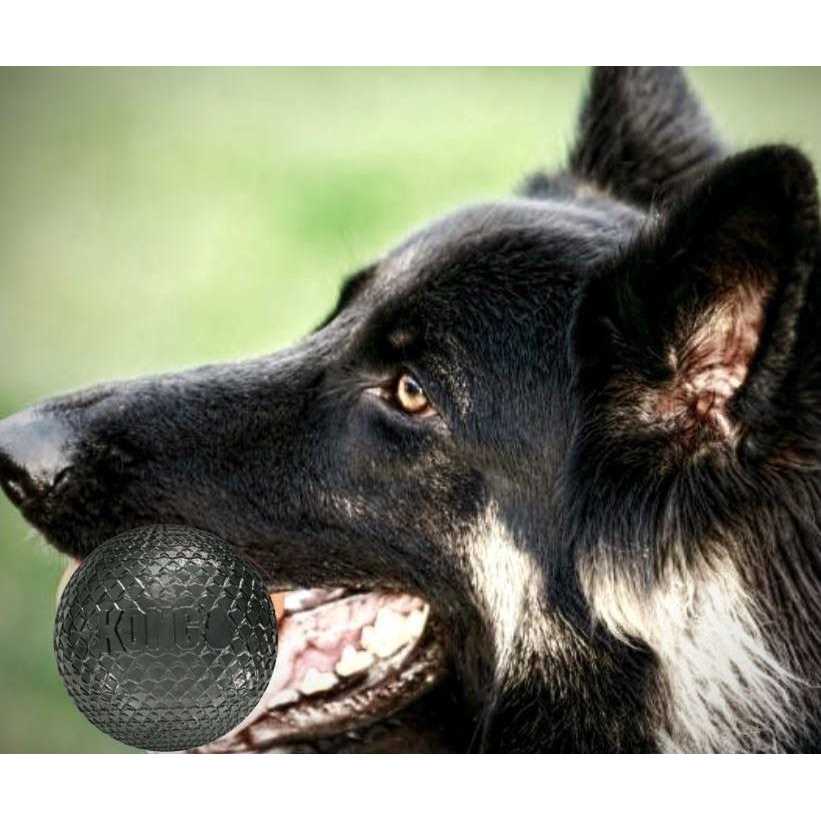 Duramax Ball Dog Toy G24940