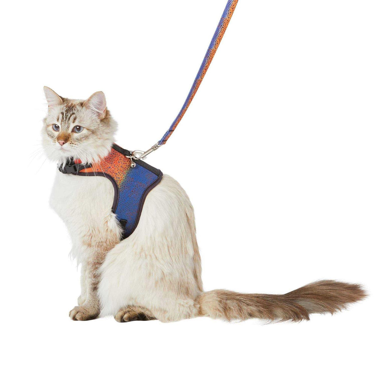 Cat Leash & Harness Combo L2997