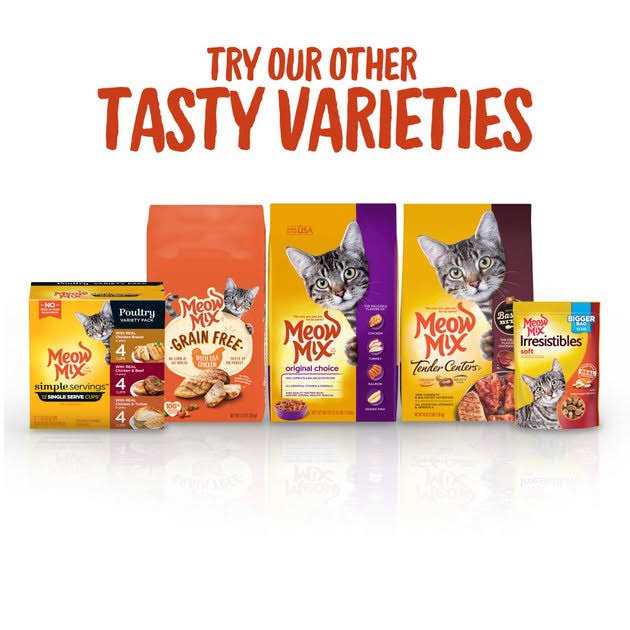 Cat Treats Soft K835