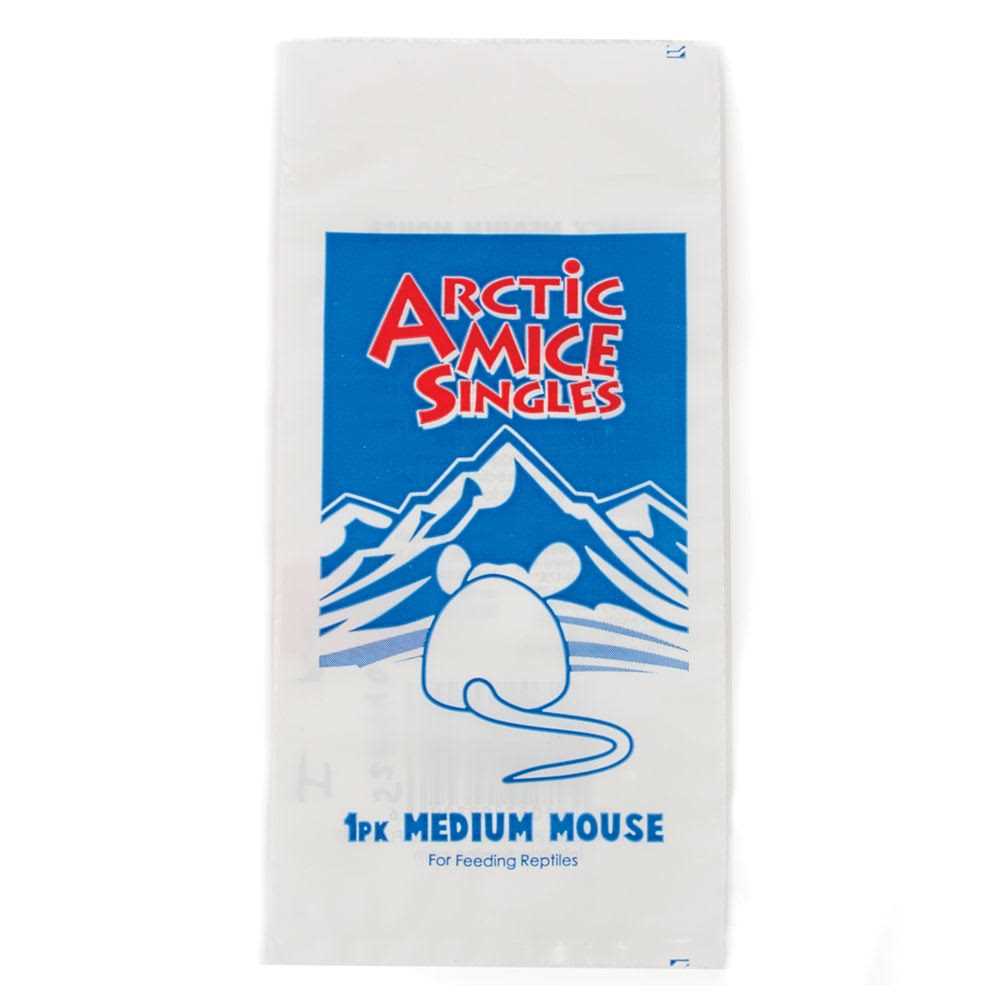 Frozen Mice O507