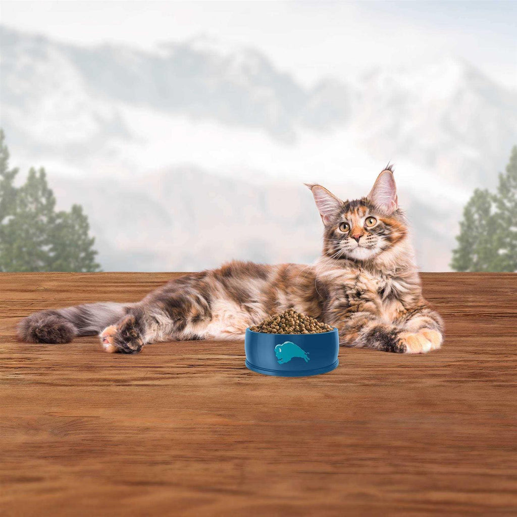Adult Dry Cat Food J633479