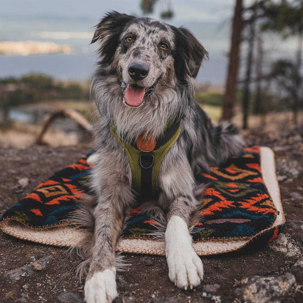 Sherpa Fleece Waterproof Blanket N909951