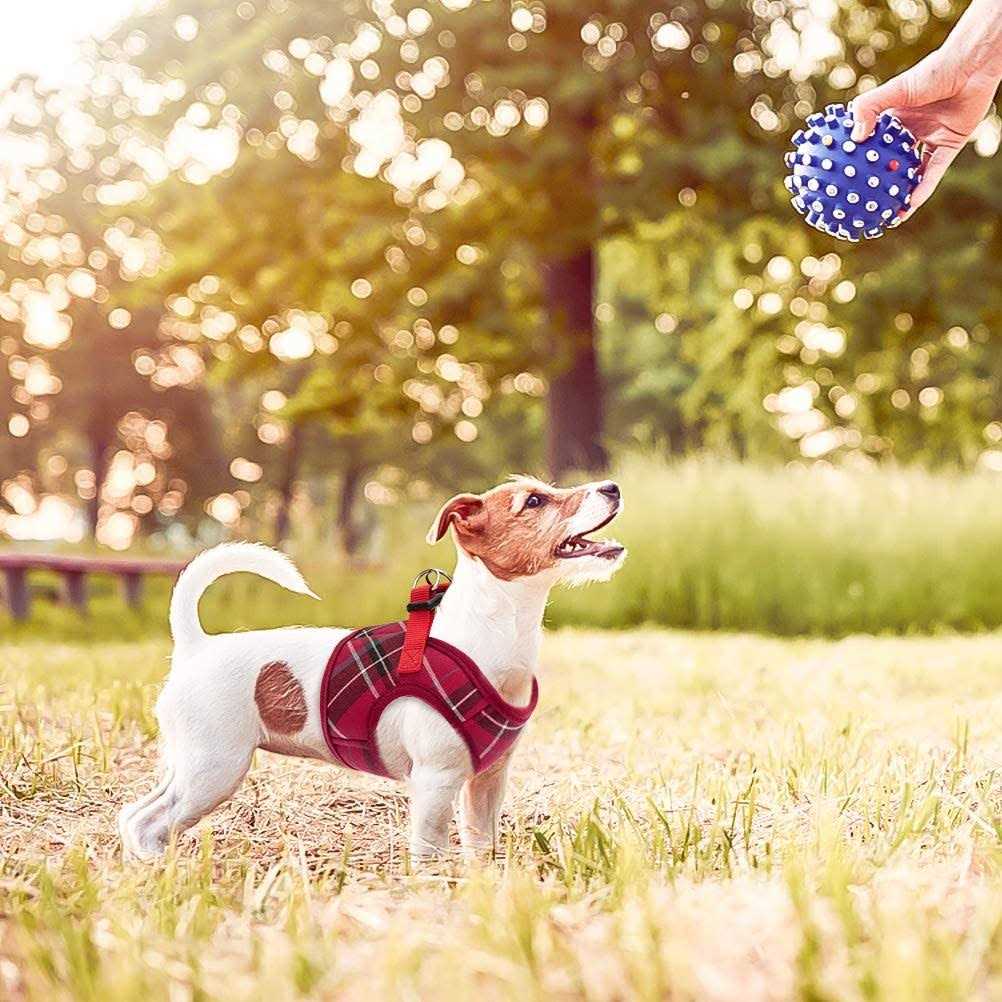 Soft Mesh Padded Dog Harness O44770
