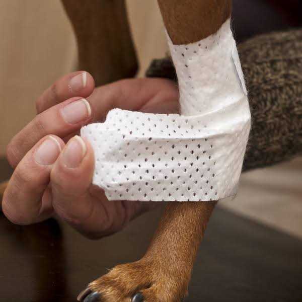 Pets Bandages D637669