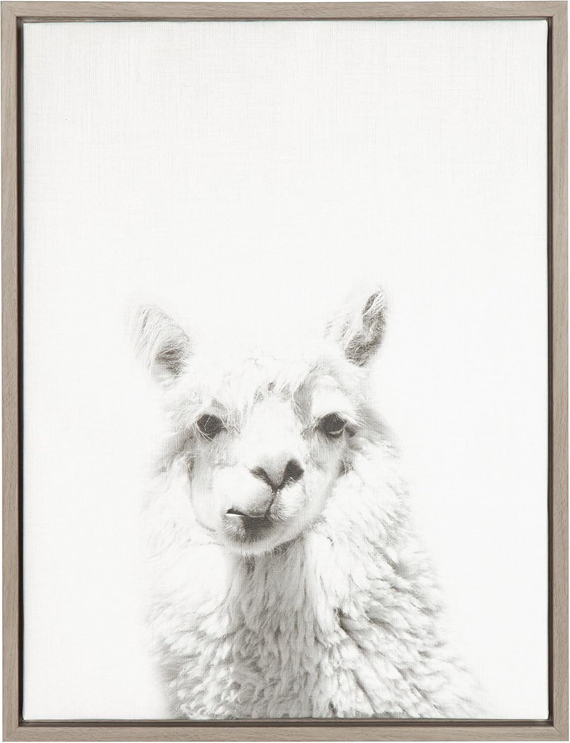 Black and White Framed Canvas Wall Art, 18x24 E28033