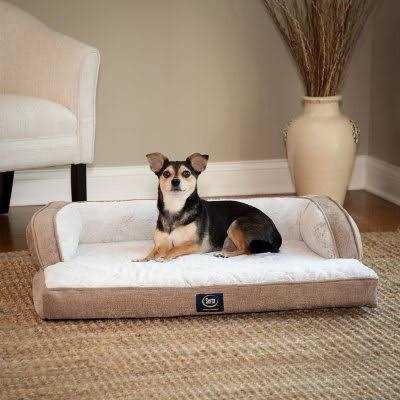 Sleeper Sofa Pet Bed F66001
