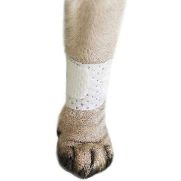 Bandages Protective Covers for Pets Y5095