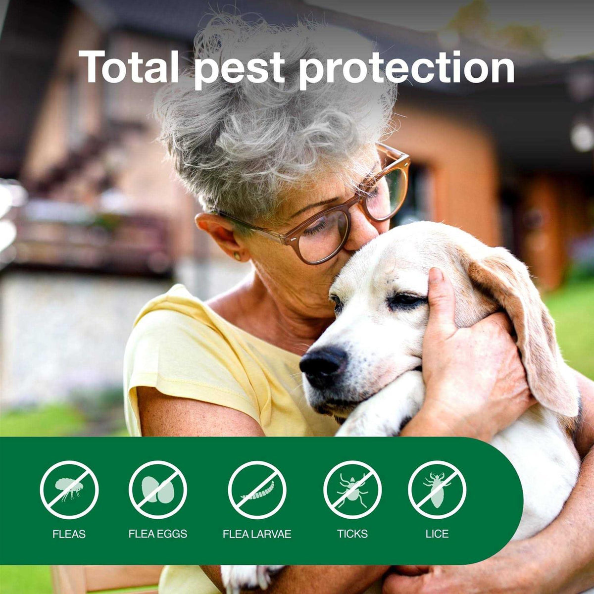 Flea & Tick Treatment Spray for Dogs B579