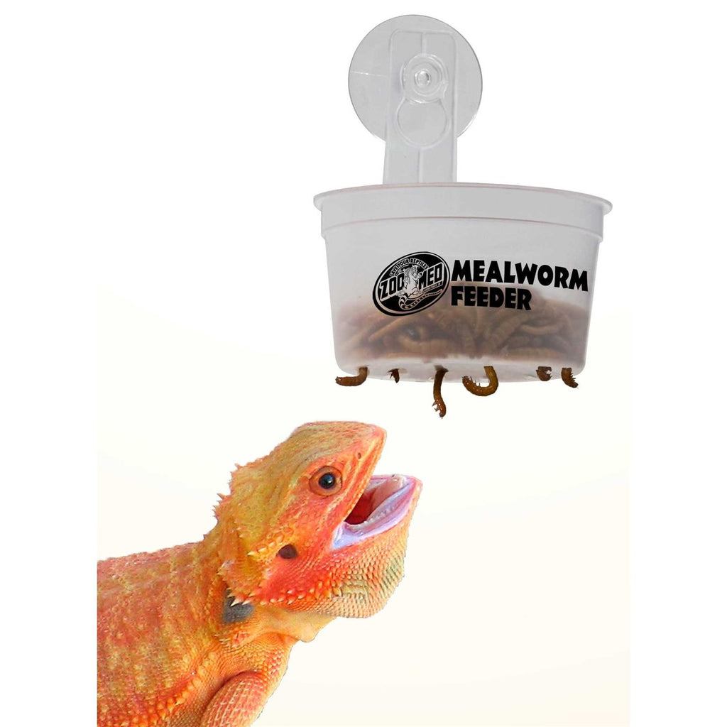 Hanging Mealworm Feeder X88410
