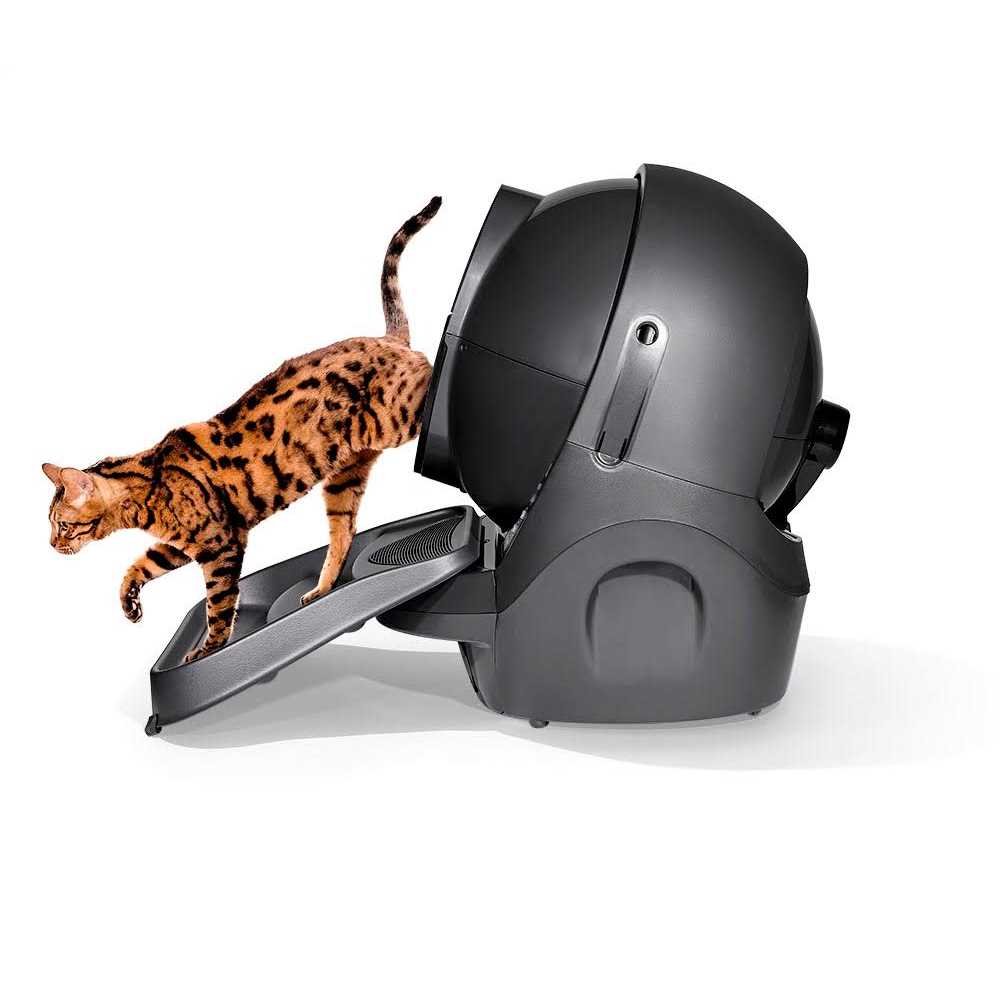 Cat Litter Box Ramp P873677