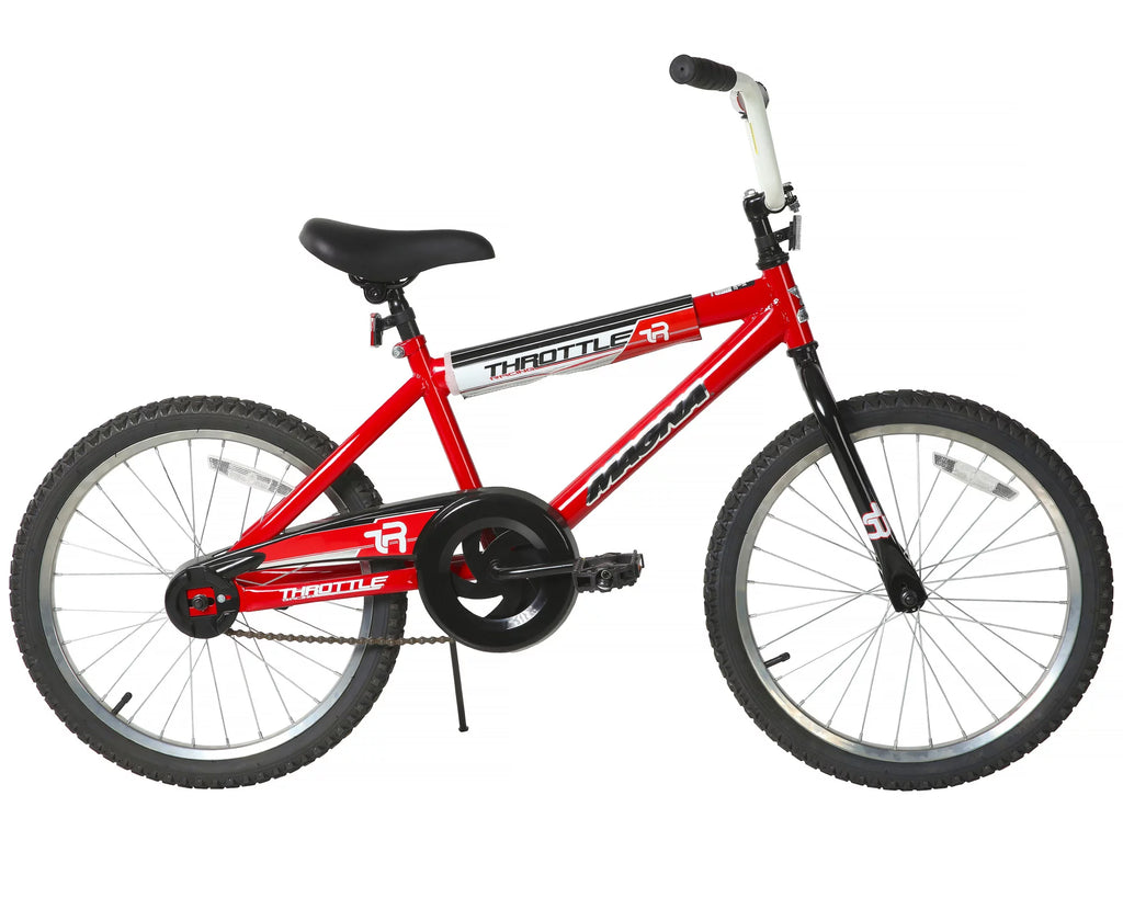 20-Inch BMX Bike R8210