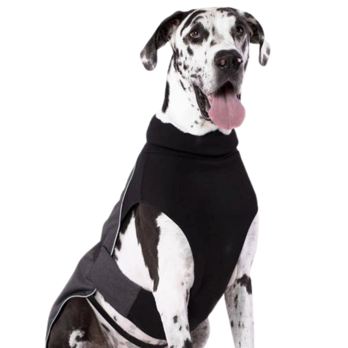 Charcoal Dog Coat W9767