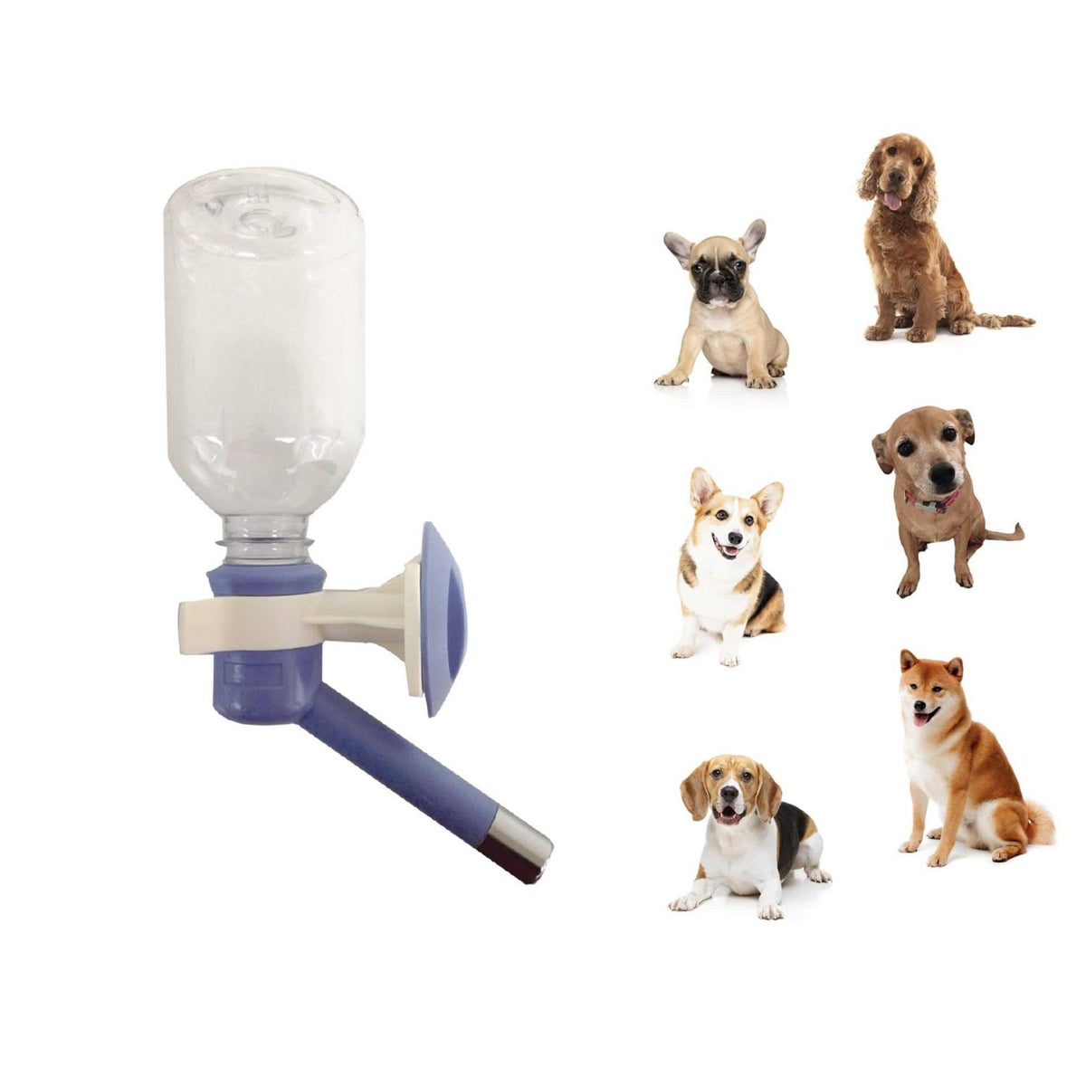 No Drip Dog Water Bottle Z522291