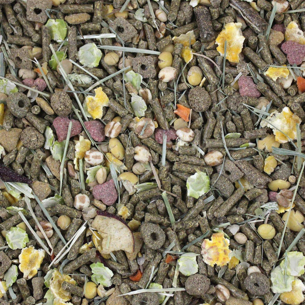 Guinea Pig Food B6981