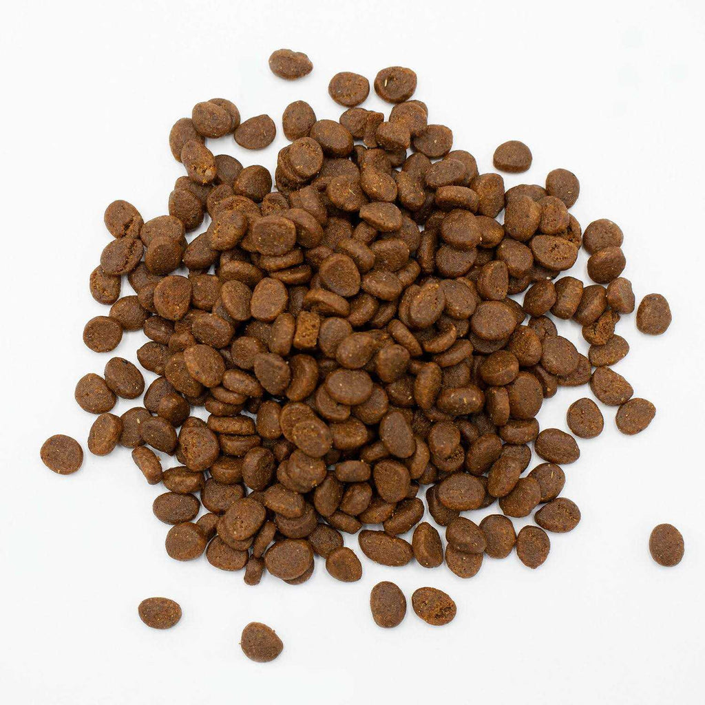 Ferret Food L2029