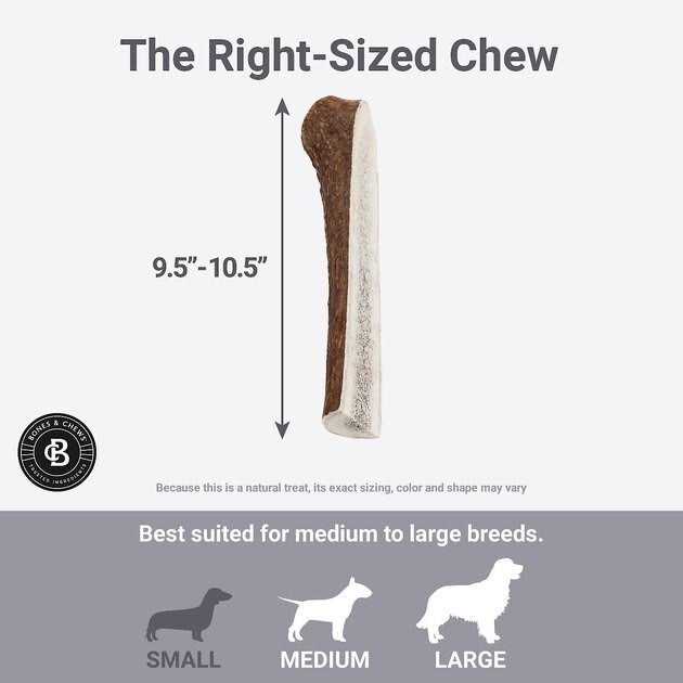 Elk Antler Split Dog Chew X10224
