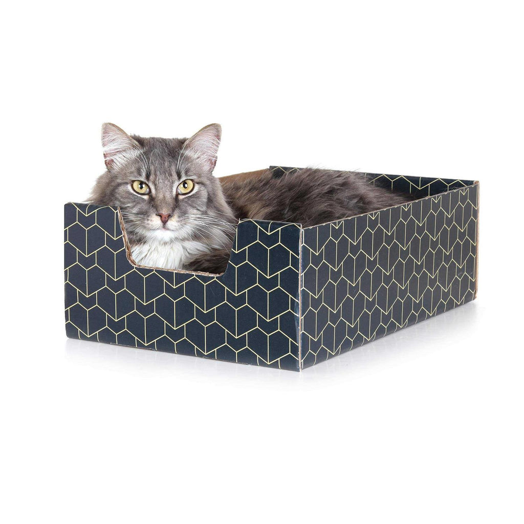 Blue Cat Box X742206