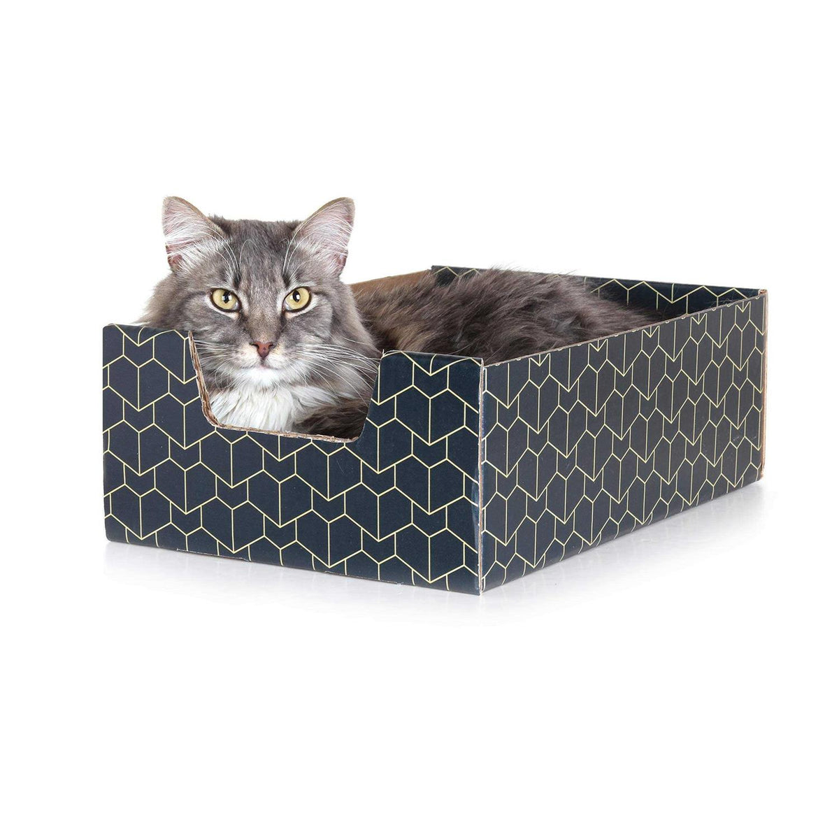 Blue Cat Box X742206