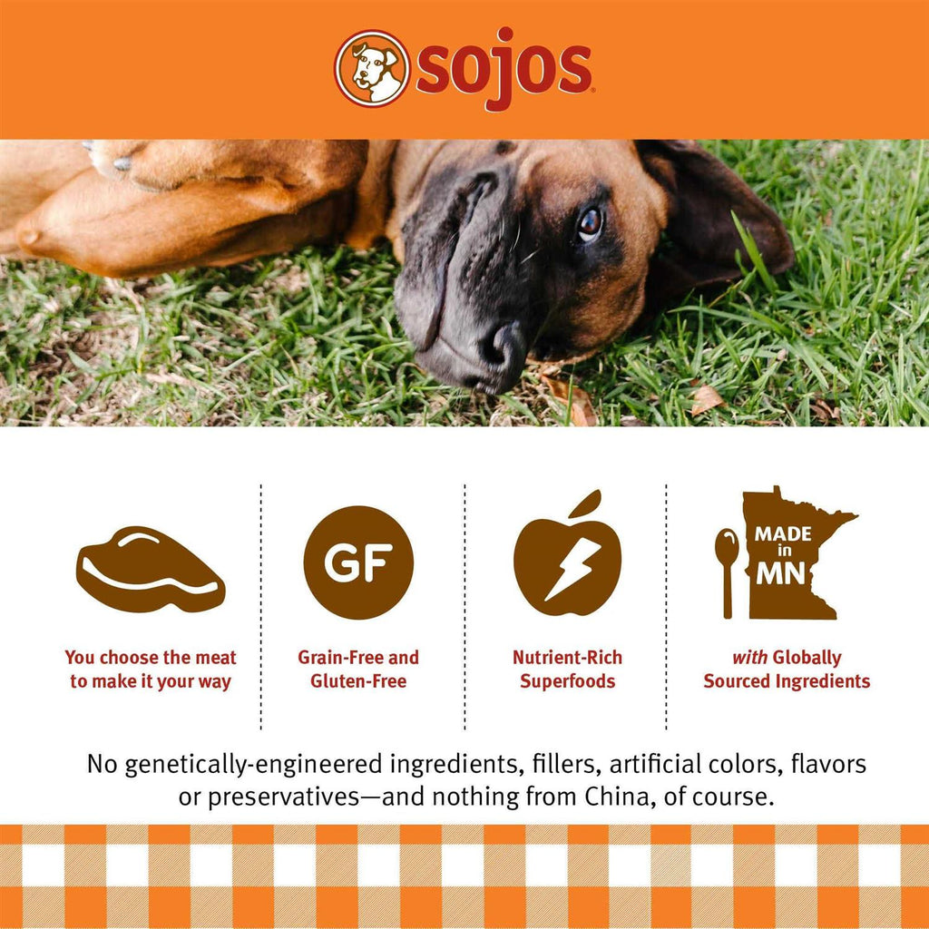 Beef Recipe Dog Food V7845