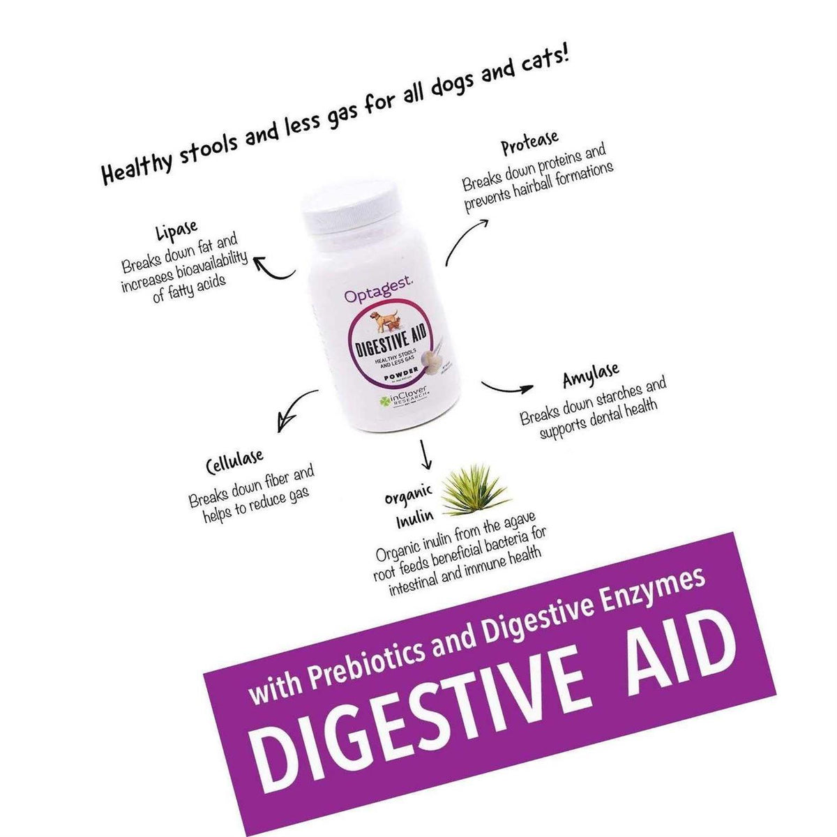 Organic Prebiotic and Natural Enzyme Powder V327709
