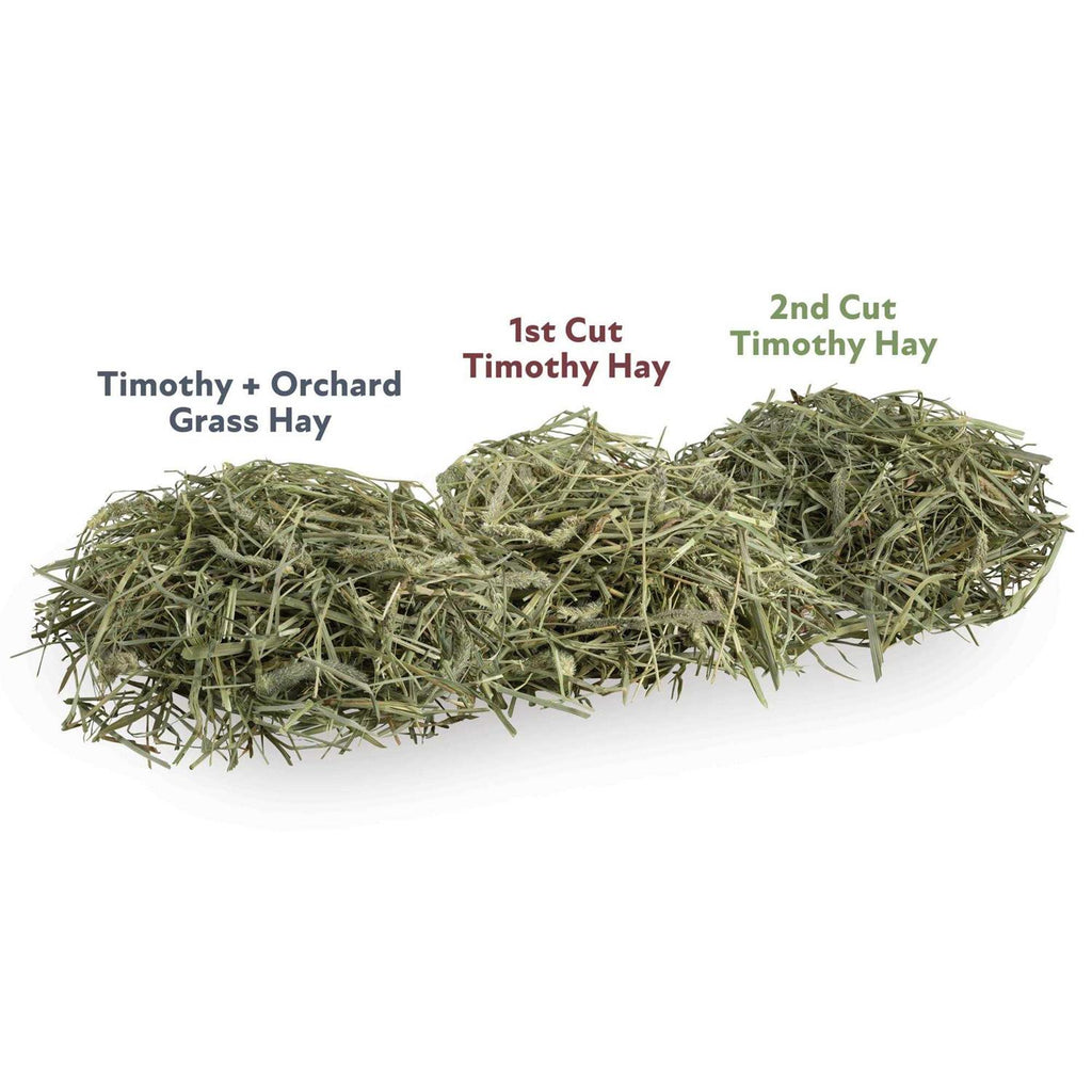 Timothy and Orchard Grass Hay Blend N885344