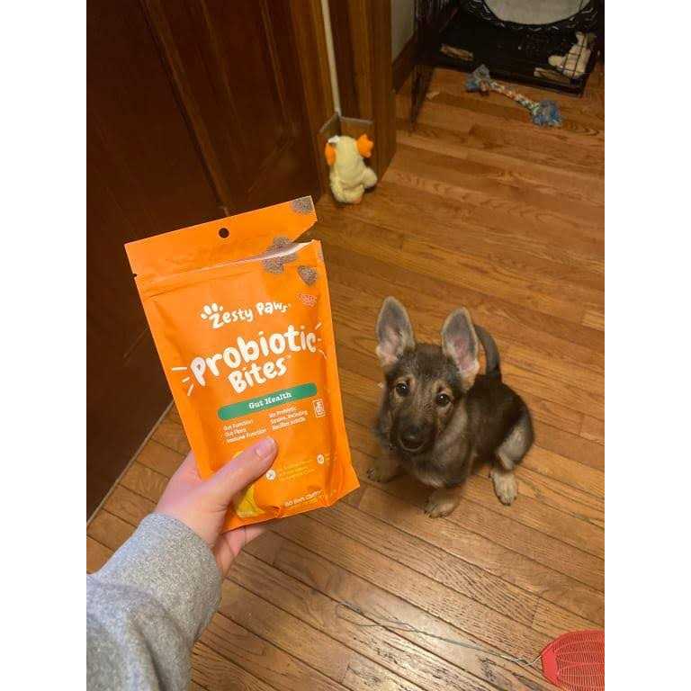 Probiotic Bites E4642